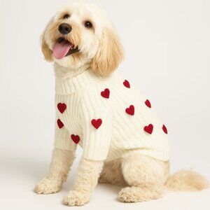 Dog sweater - Found My Animal Valentine's Day 3D Icon Heart Dog Sweater, Medium